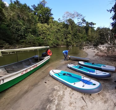 Tablas de Paddle Board en el Rio Don Diego Santa Marta Colombia