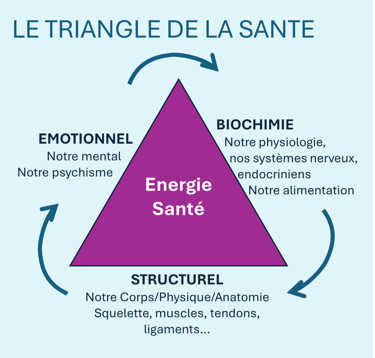 En kinésiologie, santé et bien-être reposent sur l’équilibre de trois dimensions
