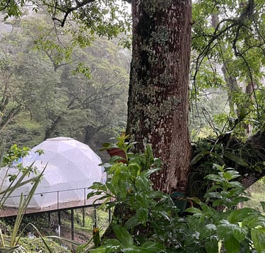 Glamping bajo los arboles en Casa QUincha Glamping clima templado