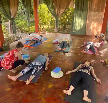 Beginner and advanced yoga classes