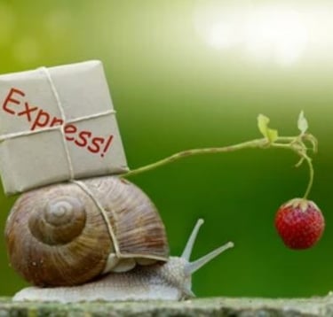 Give through snail mail