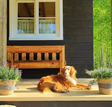 Sękiewiczówka - agroturystyka małopolska - gospodarstwo agroturystyczne dla dzieci