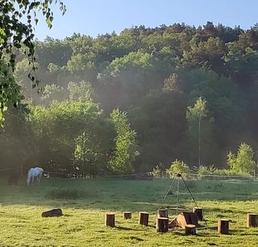 Sękiewiczówka - agroturystyka małopolska - gospodarstwo agroturystyczne dla dzieci