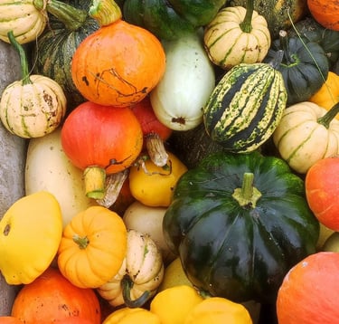 Sękiewiczówka - agroturystyka małopolska - gospodarstwo agroturystyczne dla dzieci - ekologiczne