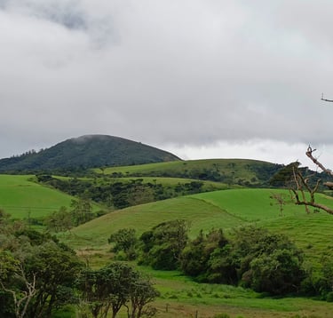 Horton plains mountains