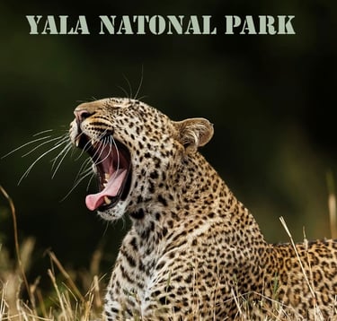 Yala Natomal park