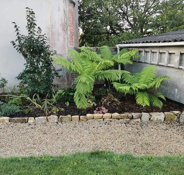 Plantation végétaux nord Finistère pepidirect