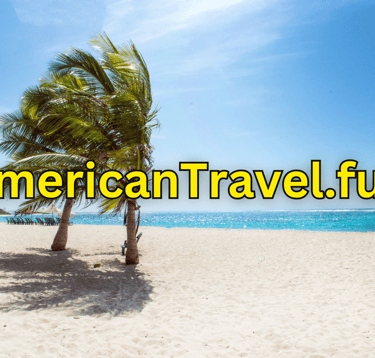 a palm tree on the beach with the words americantravel.fun
