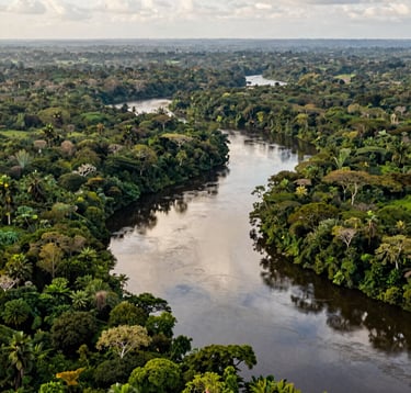 An aerial photograph of a winding river cutting through a vibrant, dense green jungle. The water reflects the soft off-white sky, highlighting the vastness of the conservation area. South American / Colombian landscape.