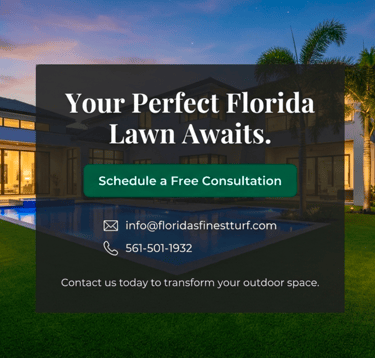 Tour-quality putting green, PGA-style backyard green, Custom break and slope golf turf