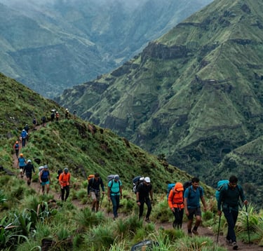A professional trekking group consisting of South Asian / Indian hikers walking along a ridge in the Western Ghats. The landscape is a lush, deep green with soft Steel Blue mist in the valleys. The composition emphasizes the scale of nature and the quality of the adventure experience.