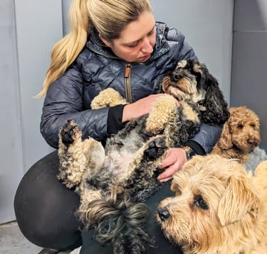 a woman is holding a dog and a dog