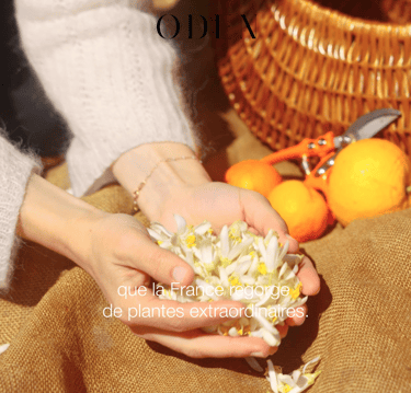 a person holding a flower in their hands