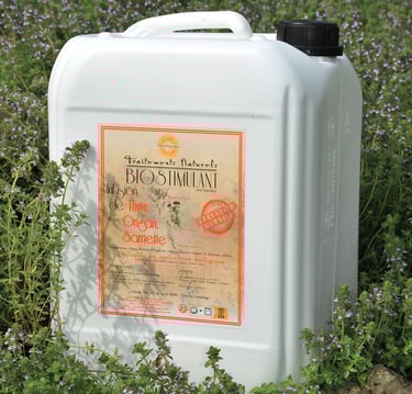 Biostimulant Thym Origan Sarriette