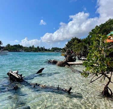 Nature enhances Reiki practice.