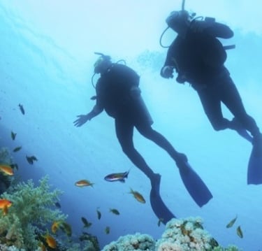 scuba diving in apo island