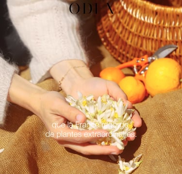 a person holding a flower in their hands