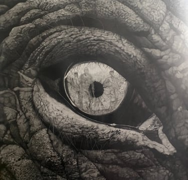Oeil d'éléphant