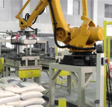 integración en México robot industrial chino de calidad estun para aplicación de paletizado