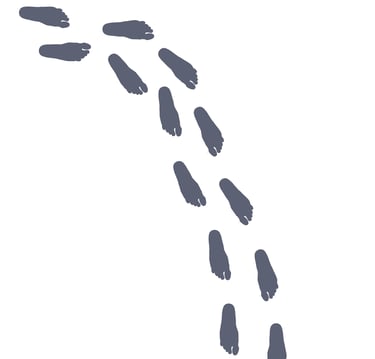 Gray trail of bare footprints walking across a white background in an unsteady pattern