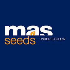 Mas Seeds