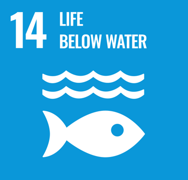 SDG 14 Life Below Water