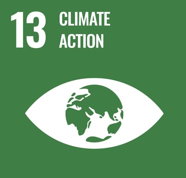 SDG 13 Climate Action