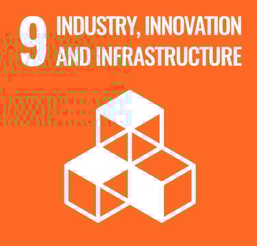 SDG 9 Industry, Innovation, and Infrastructure