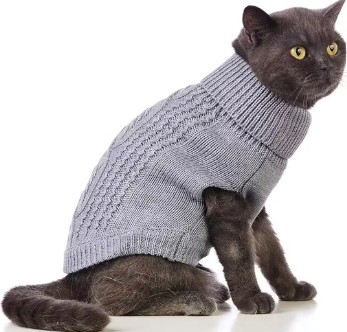 Un gato British Shorthair gris usando un comodo sueter tejido gris