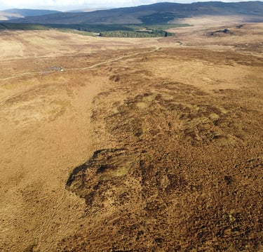 Peat drone peatland
