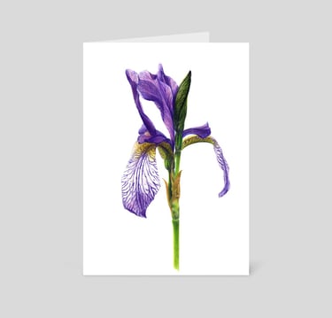 Siberian Iris greeting card