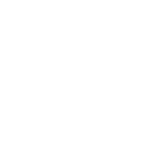 Customization Icon