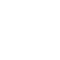 Marketing Icon