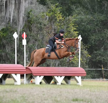 A chestnut horse clearing a cross country roll top