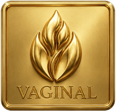 Pictogramme doré d'une flamme pour la catégorie plaisirs vaginaux et pénétration du jeu de cartes Désirs Interdits
