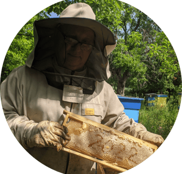 Honeybees cared with love