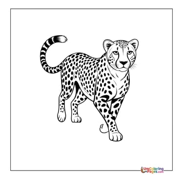 Cheetah coloring page spotted big cat printable for kids