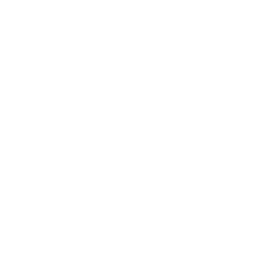 Icon of birds  in flight, symbolising taking a wider view of the situation