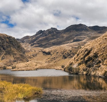 Cajas National Park, Ecuador, South America