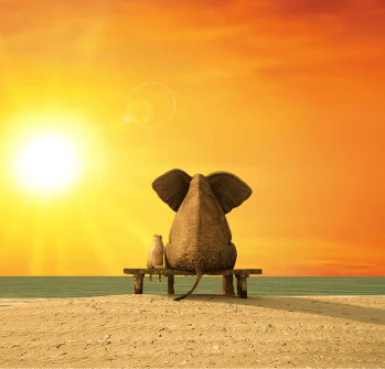 Summer relatietherapie