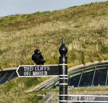 Finn's Footprints Travel Blog for Ireland Trip