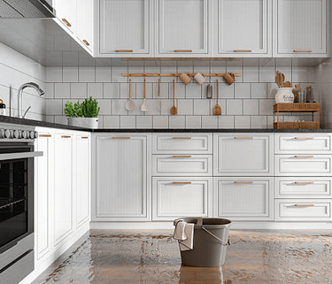 restoration contractor