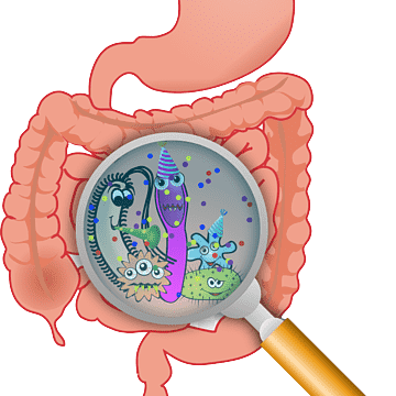 Imagen de Microbiota utilizado en la pagina web de la Dra. Arlenis Guzmán 