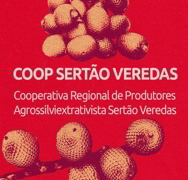 Coop Sertão Veredas - Chapada Gaúcha-MG