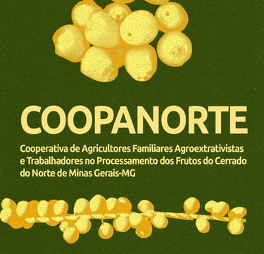 Coopanorte - São Francisco-MG