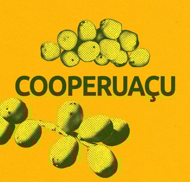 Cooperuaçu - Vale do Peruaçu/Januária-MG
