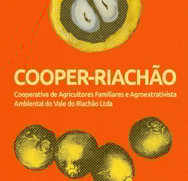 Comunidade de Riacho D’antas/Zona Rural de Montes Claros-MG