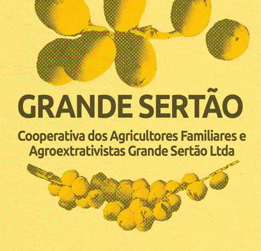 Grande Sertão - Montes Claros-MG