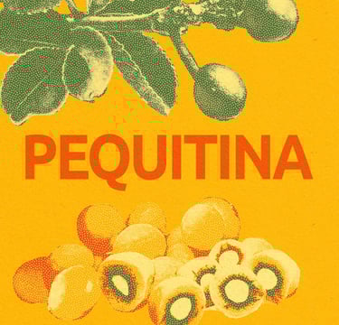 Pequitina - Januária-MG