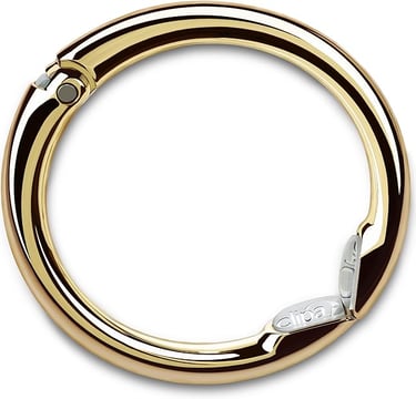 a gold colored ring with a silver clasp
